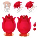 ESTIMULADOR DE CLITÓRES EM FORMATO DE FLOR COM 10 MODOS DE VIBRAÇÃO - IMPORTAÇÃO VB121